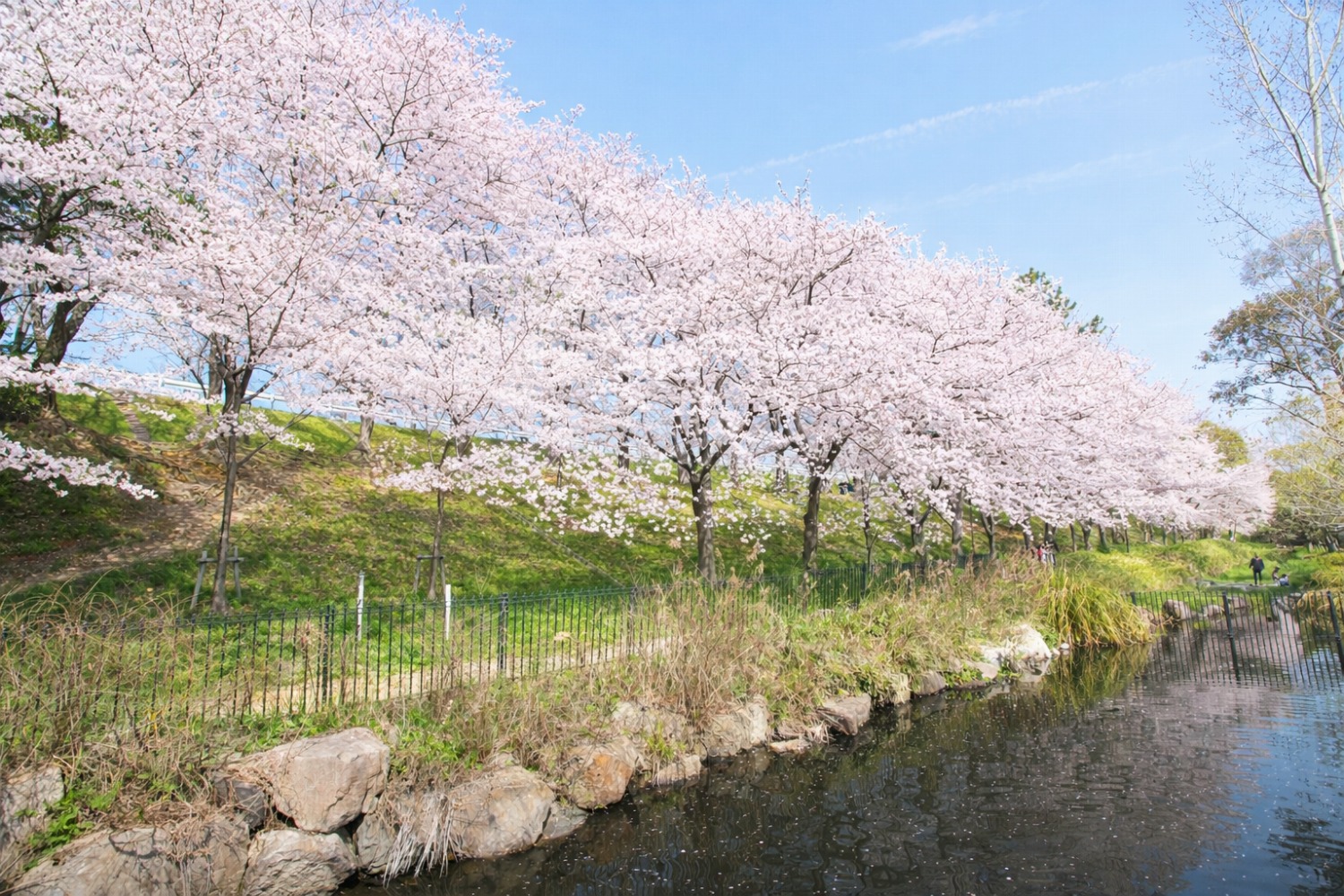 武庫川河川敷緑地（尼崎市）