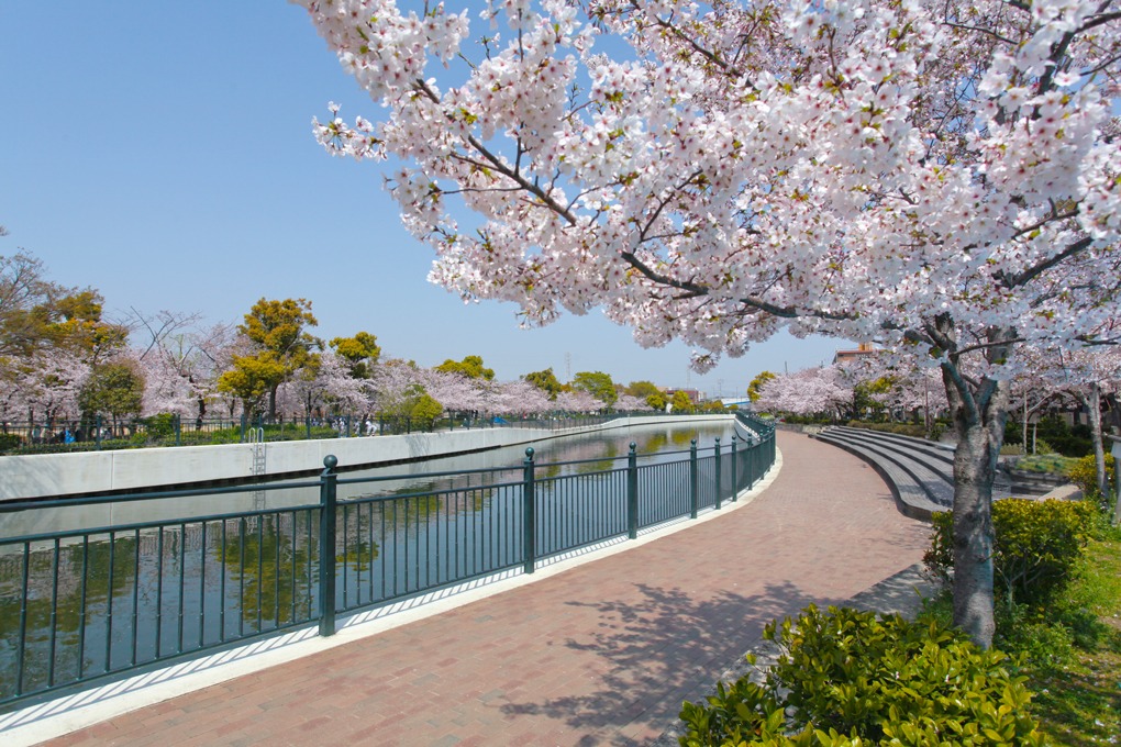 蓬川緑地（尼崎市）