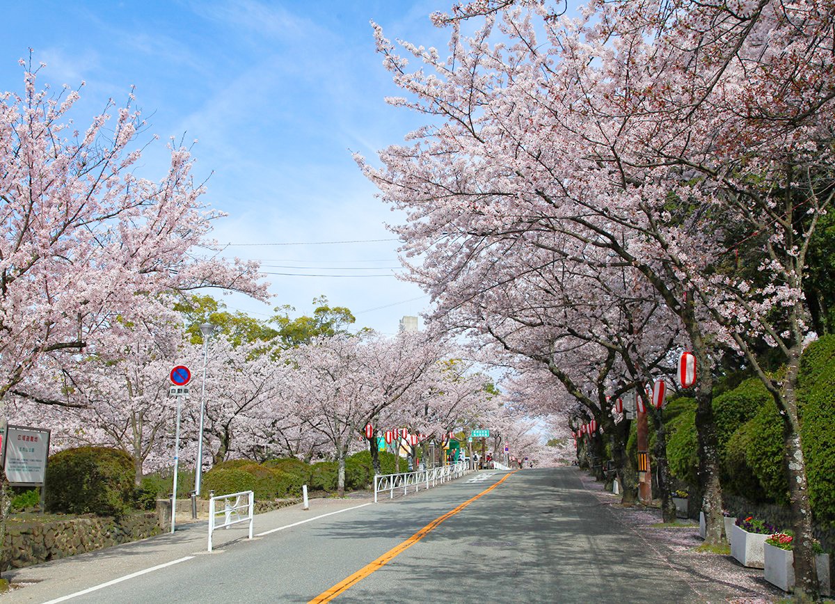 五月山公園（池田市）