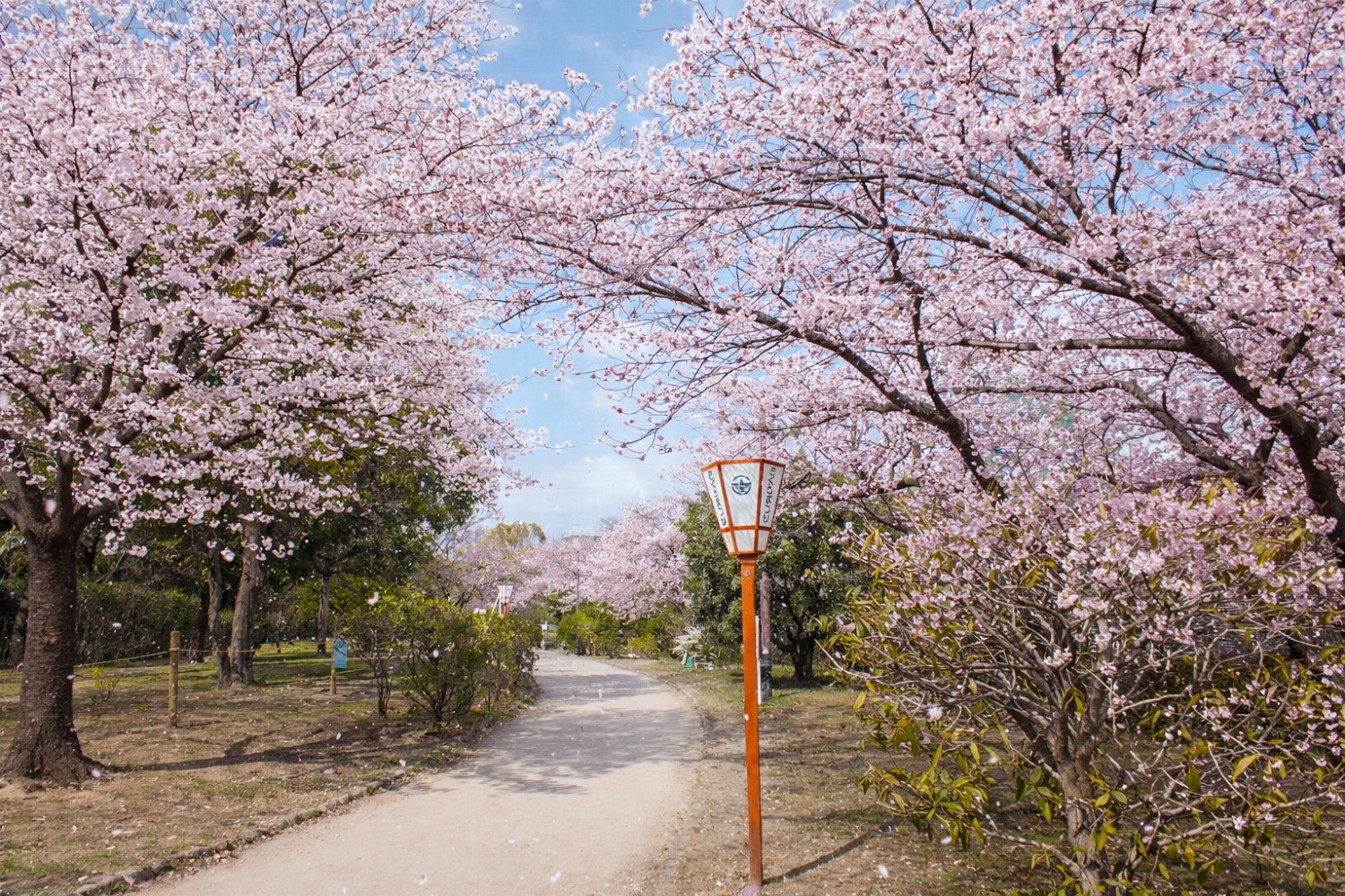 元茨木川緑地（茨木市）