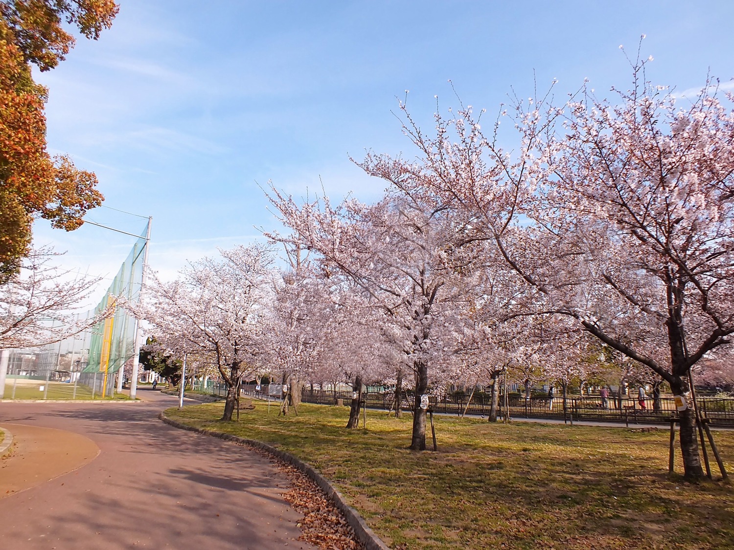 金岡公園（東大阪市）