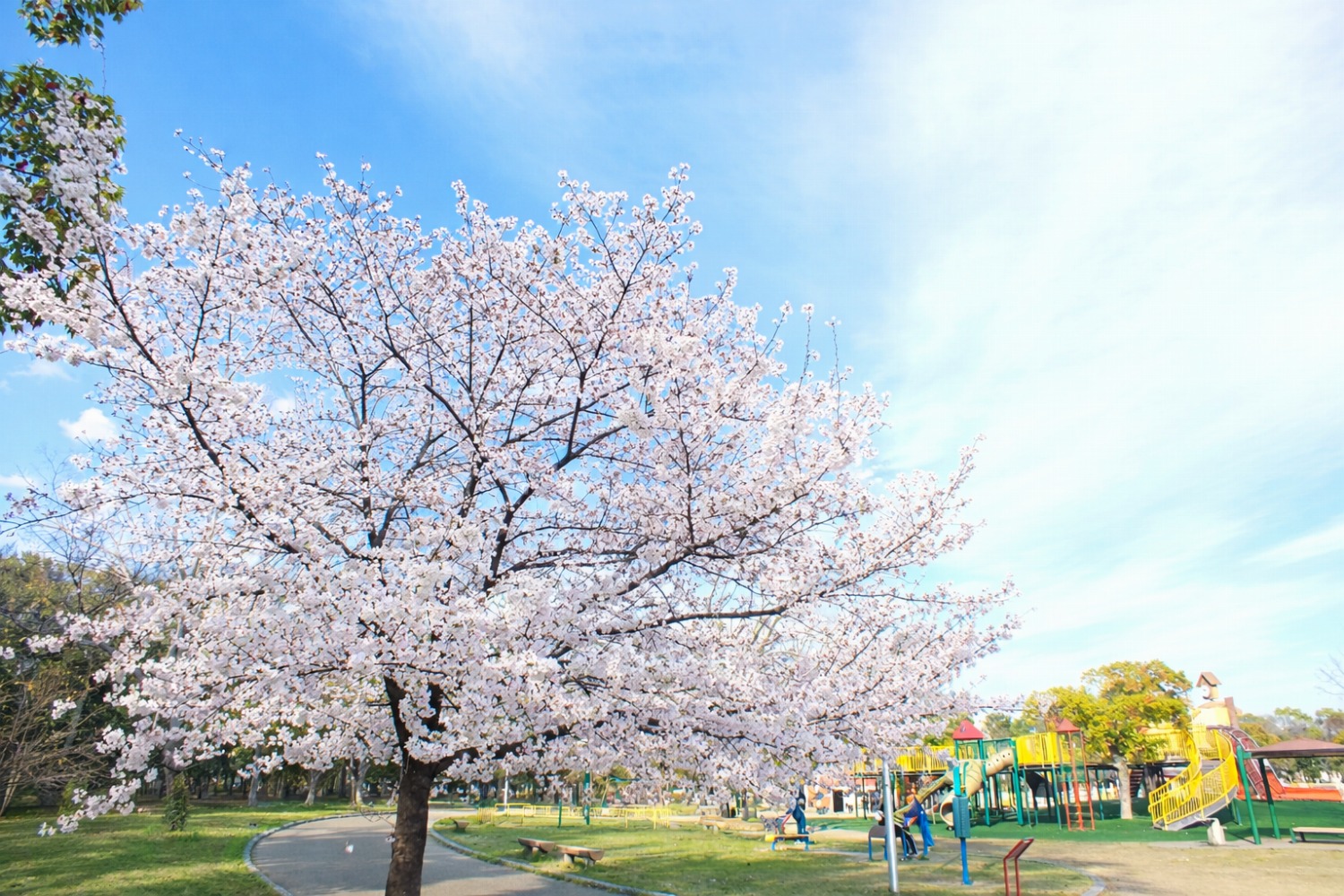 久宝寺緑地（八尾市））