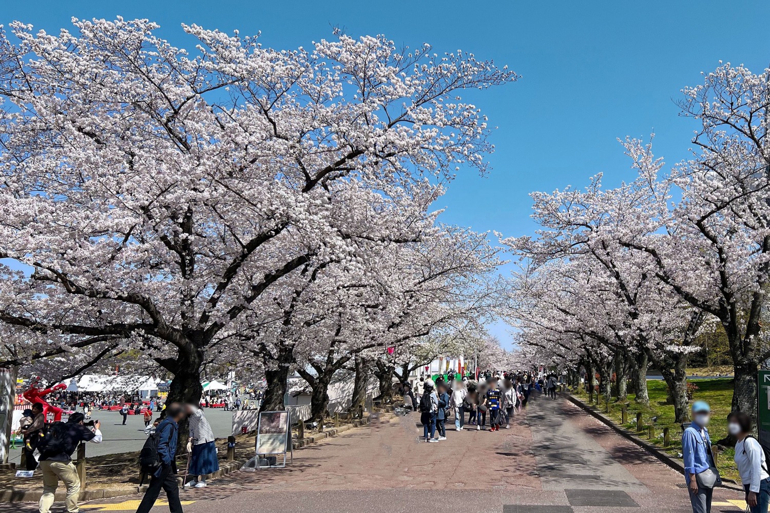 万博記念公園（吹田市）
