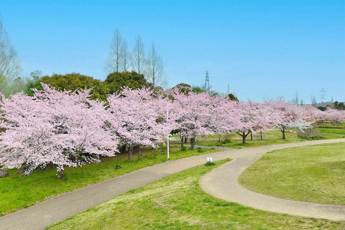 山田池公園（枚方市）