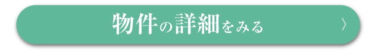 ボタン2