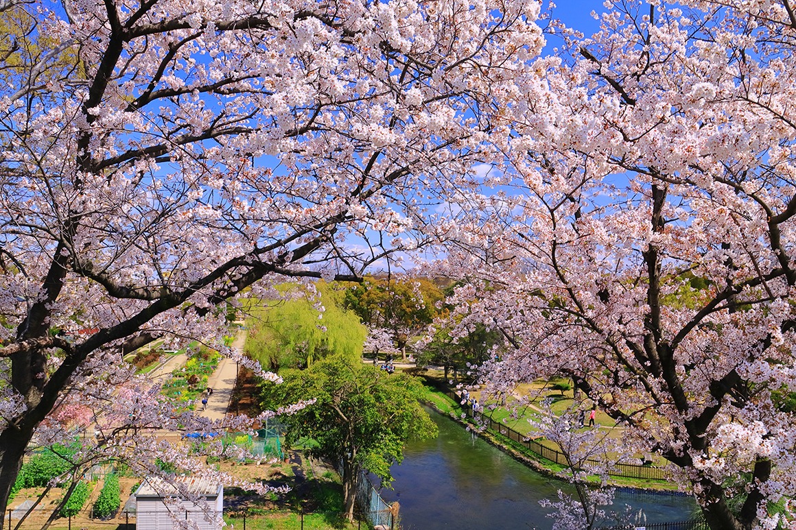西武庫公園（尼崎市）