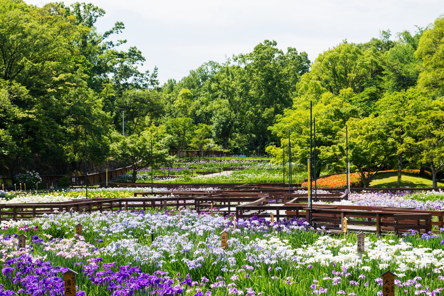 山田池公園（枚方市）