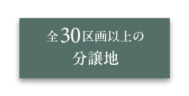 全30区画以上の分譲地