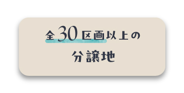 全30区画以上の分譲地
