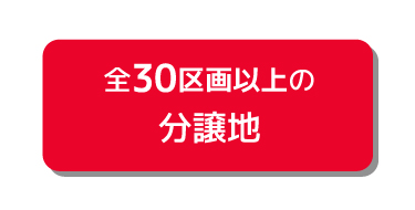 全30区画以上の分譲地
