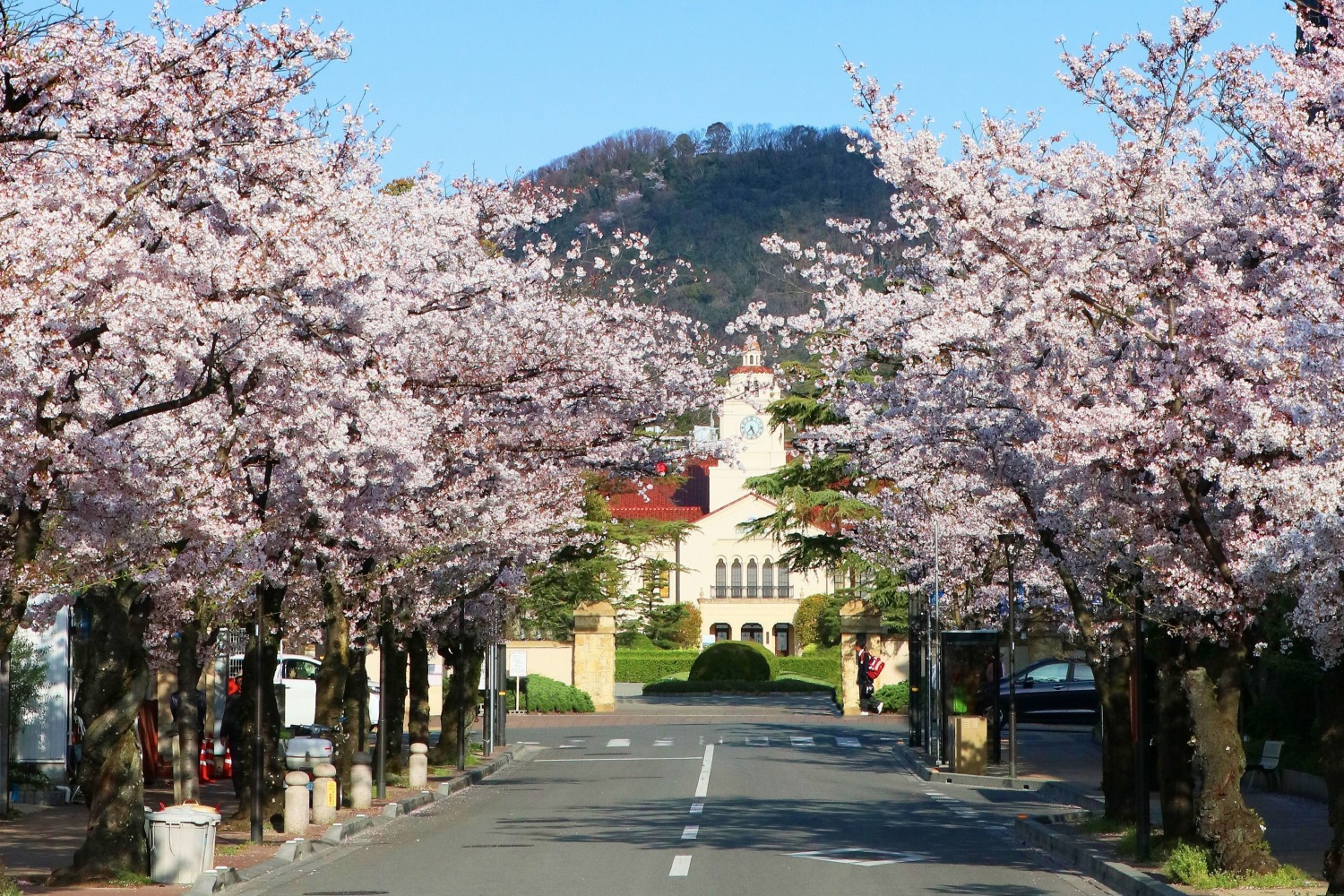 学園花通り（西宮市）