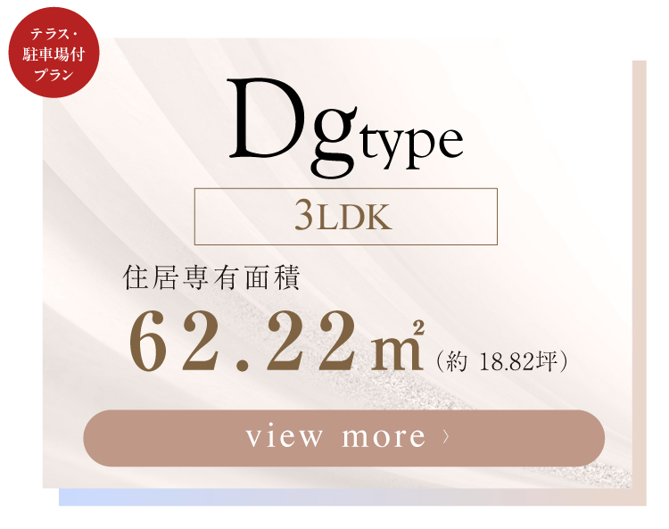 【 Dg-type 】