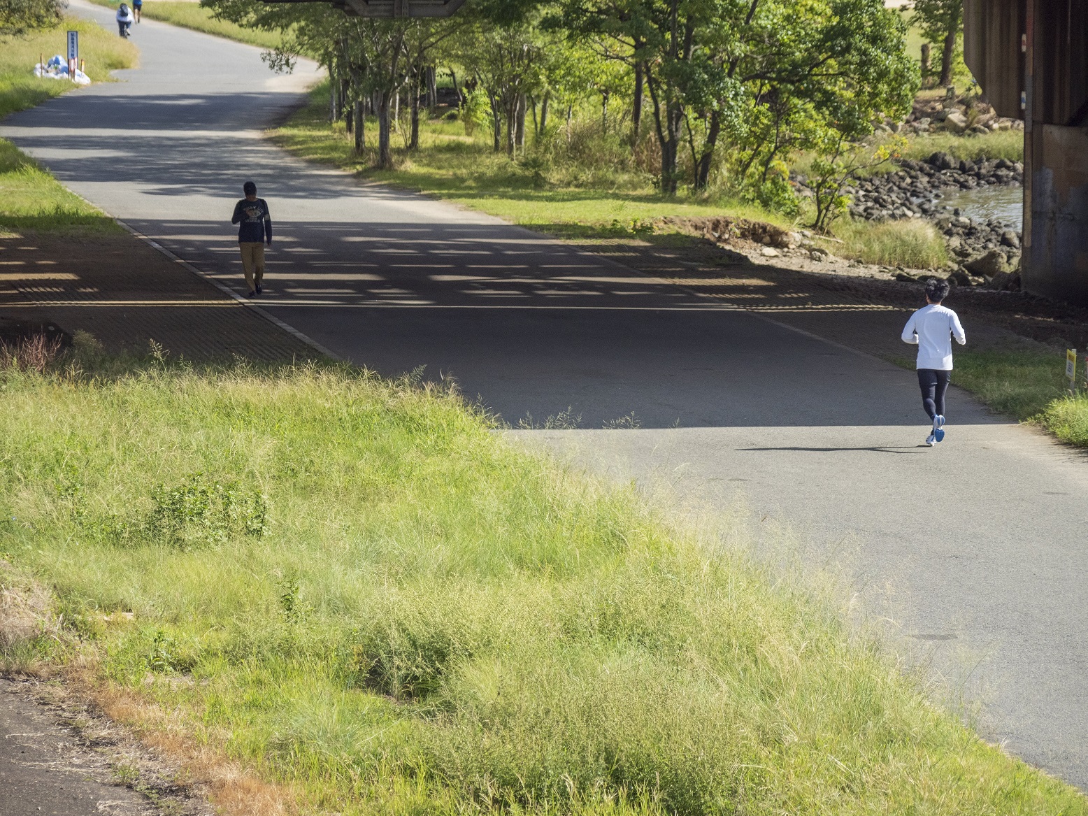 淀川河川敷公園
