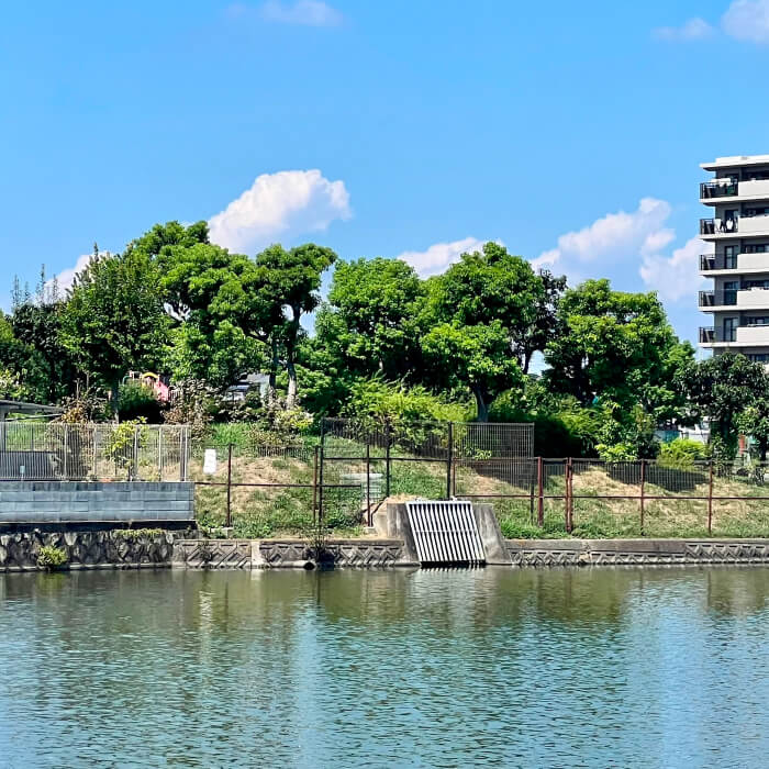 登美丘北公園