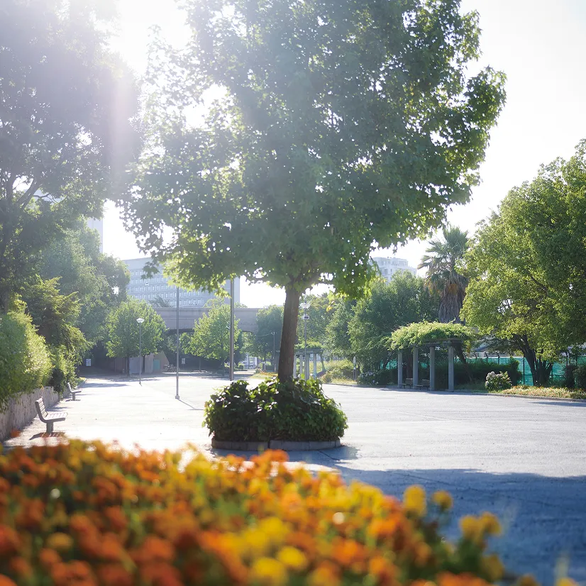 大浜公園 徒歩12分（約960m）