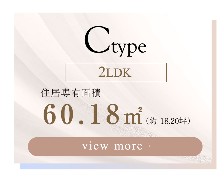  【 C-type 】