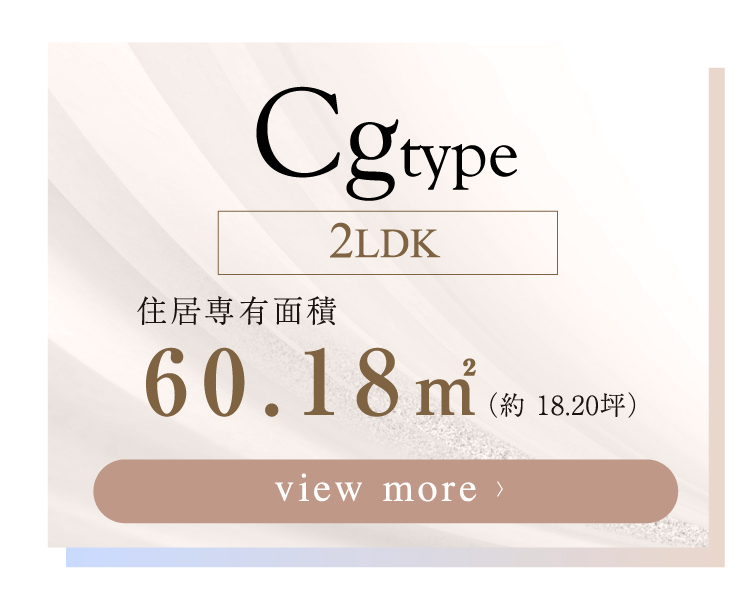  【 Cg-type 】