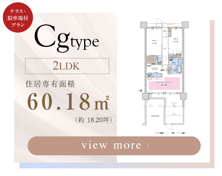  【 Cg-type 】