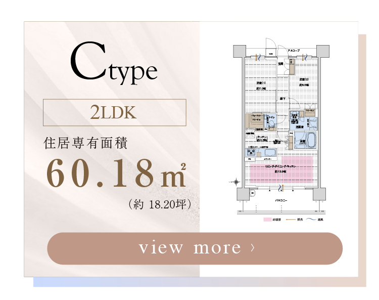  【 C-type 】