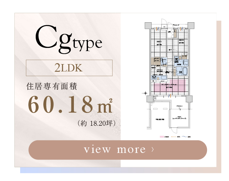  【 Cg-type 】