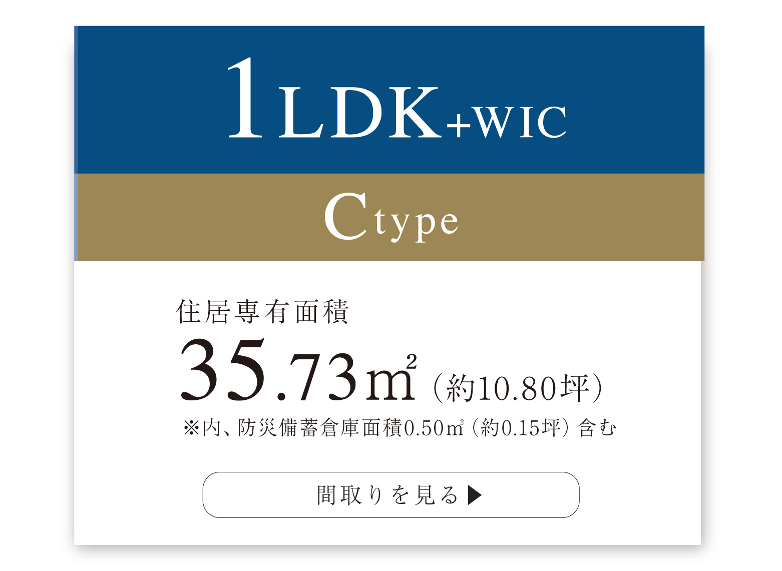  【 C-type 】