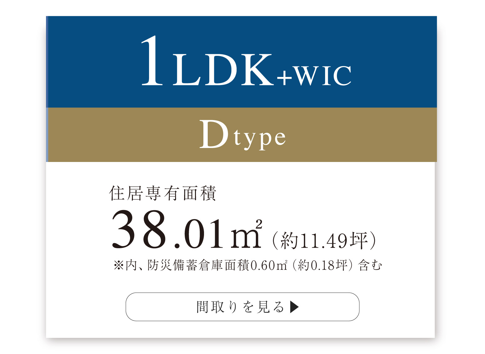  【 D-type 】