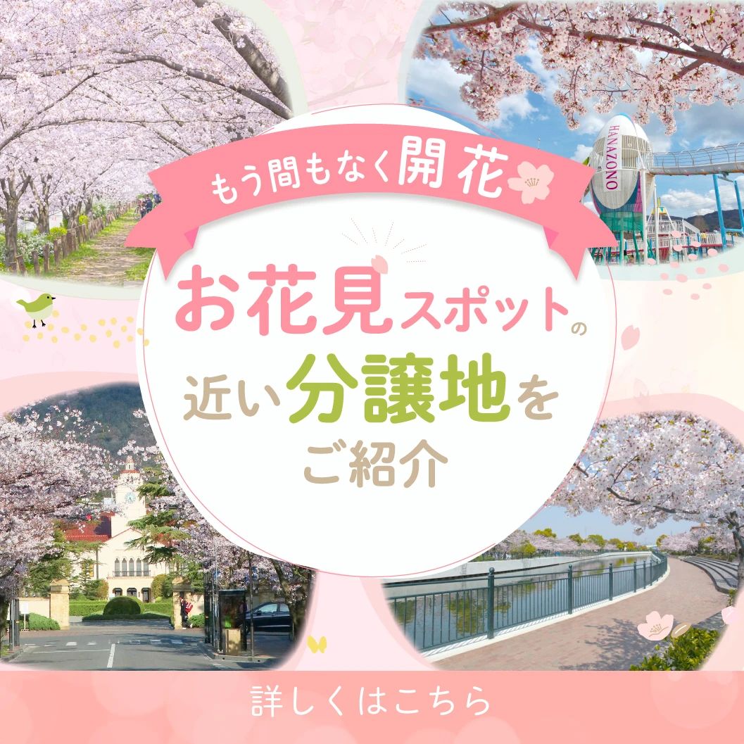 いよいよ桜の季節！分譲地の近くにあるおすすめ桜スポットをご紹介します！
