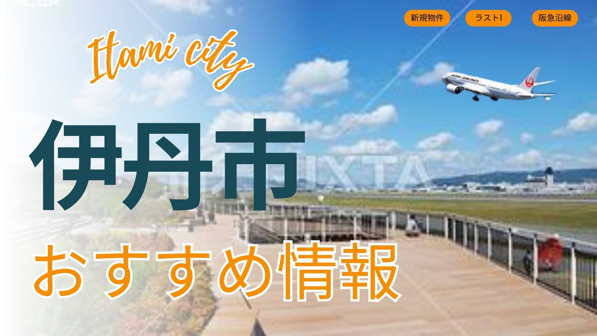 伊丹市　おすすめ情報