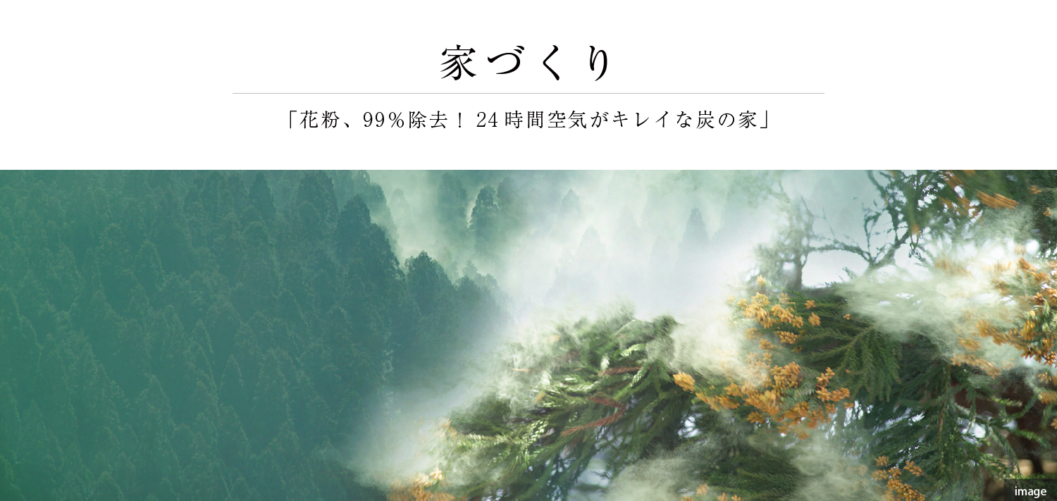 花粉、約99%除去！24時間空気がキレイな炭の家〔家づくり〕