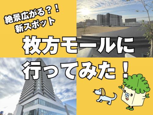 【枚方市】2024年秋OPENの ≪ 枚方モール ≫ へ行ってみました！〔周辺環境〕