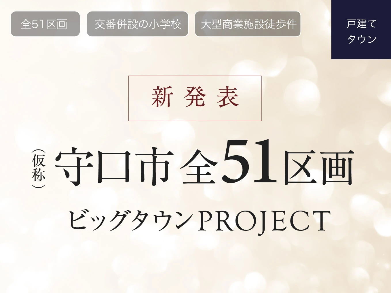 （仮称）守口市全51区画ビッグタウンPROJECT