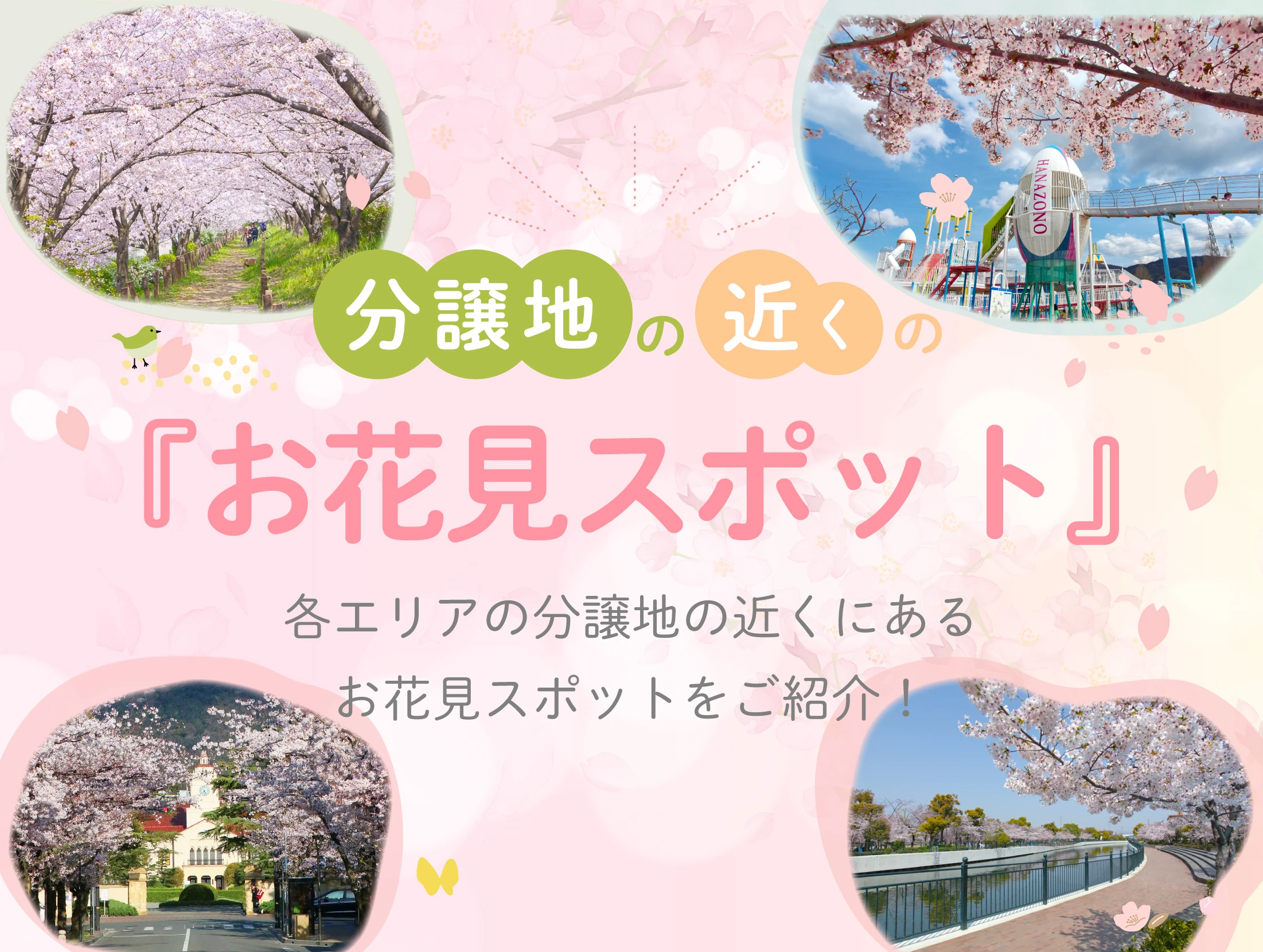 分譲地の近くにある「おすすめ桜スポット」をご紹介｜今が旬の情報〔エリア〕