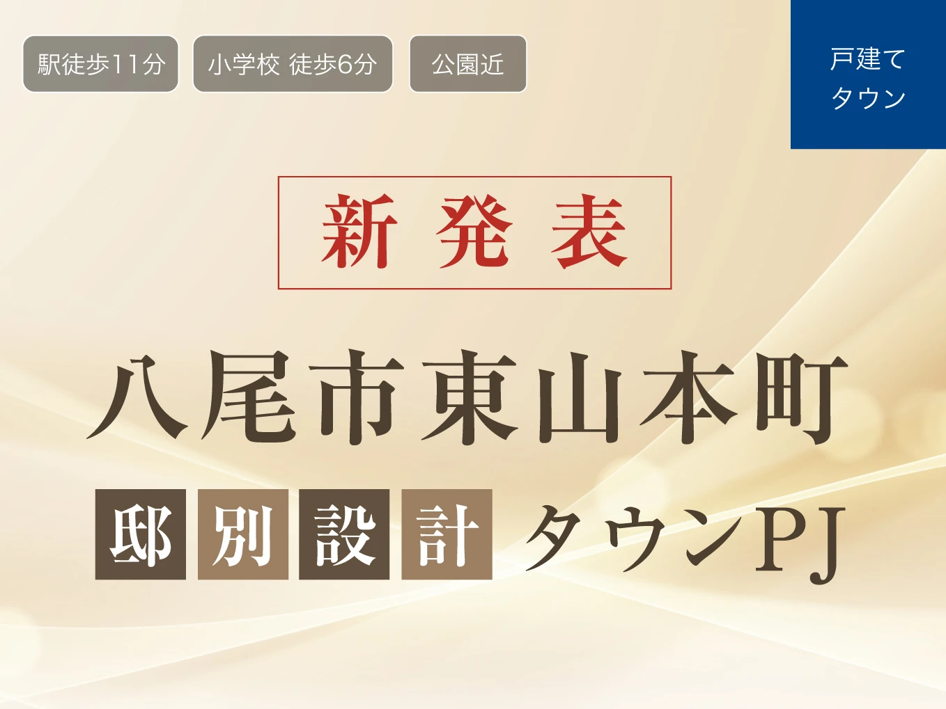 （仮称）八尾市東山本町邸別設計タウンPJ