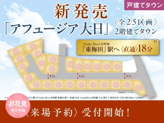 アフュージア大日