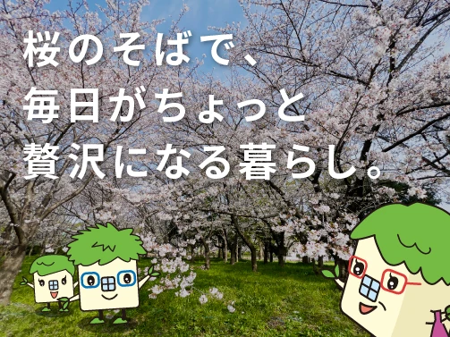 【大東市】スミフジコが行ってみた｜桜満開の深北緑地