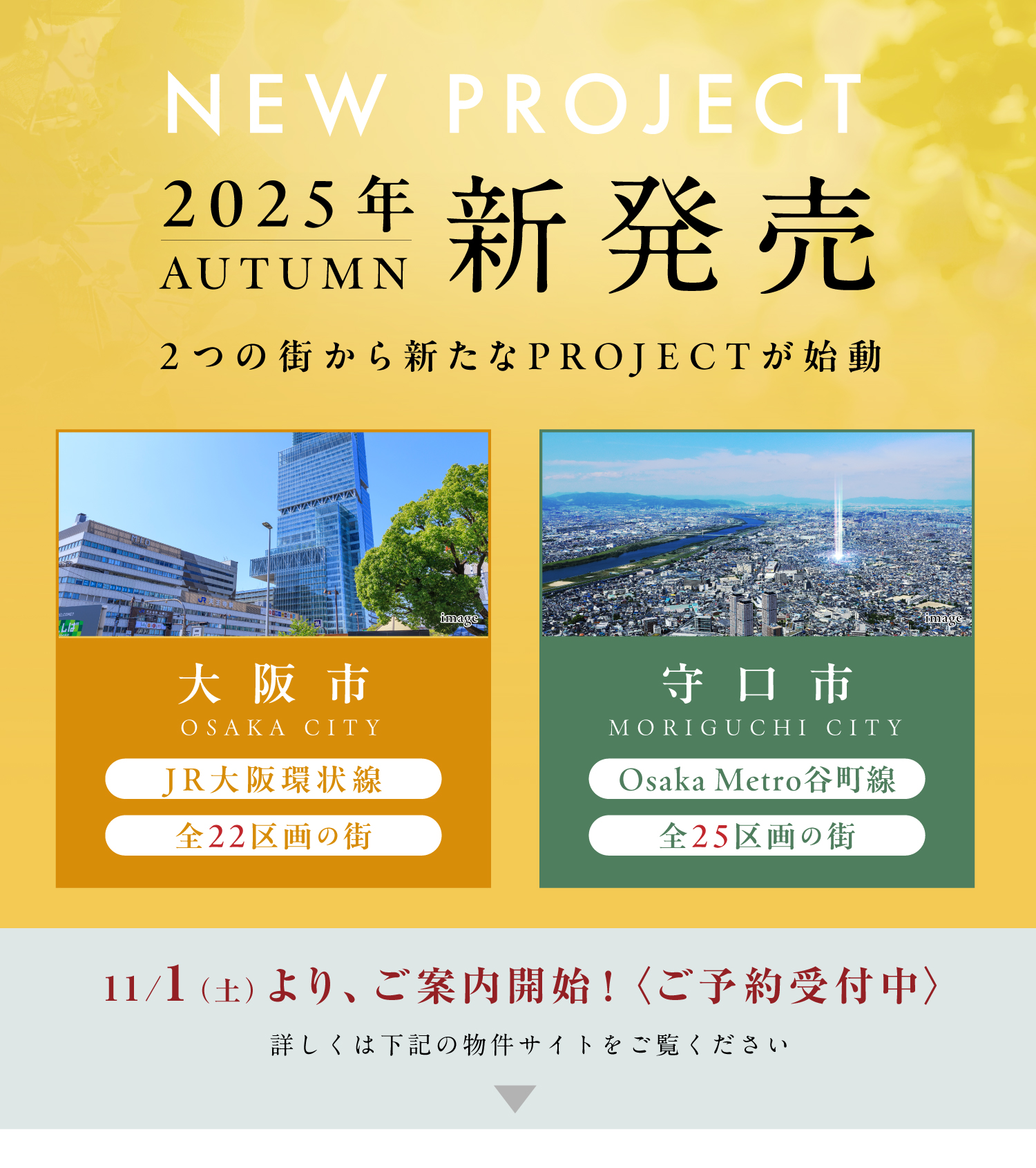 ☆2025年～秋～新発売《2つの新規PROJECT始動》