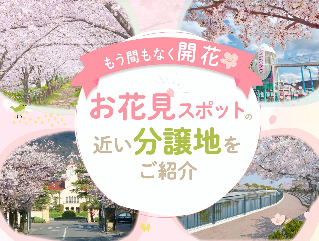 お花見スポットが近い分譲地をご紹介